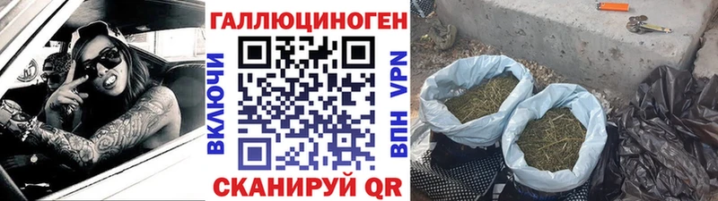 кракен как зайти  где купить   Благовещенск  Псилоцибиновые грибы мицелий 