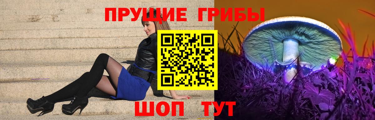 Псилоцибиновые грибы Psilocybe  Вход с VPN  Галлюциногенные грибы ЛСД  Благовещенск 